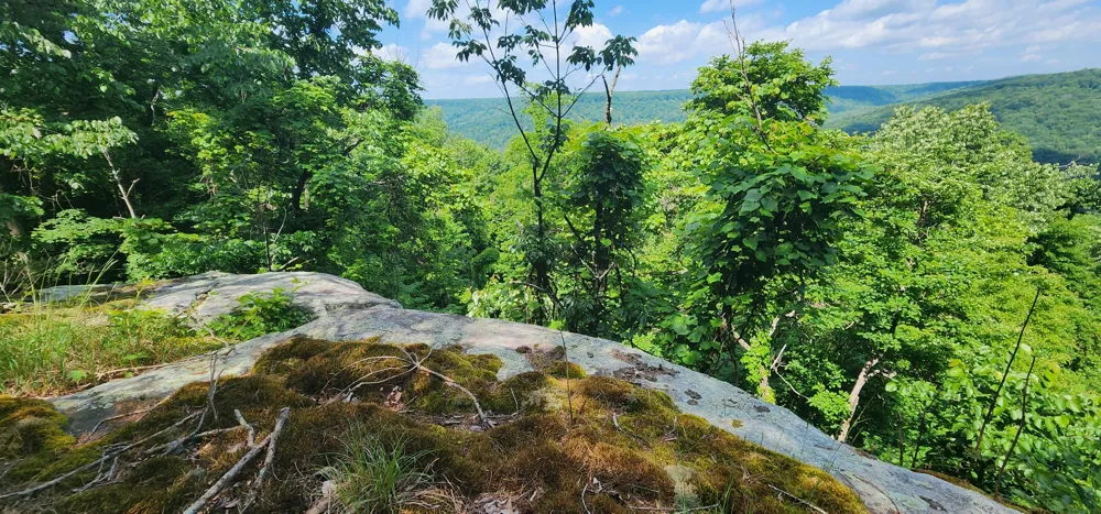 Roth Point Road Altamont, TN 37301