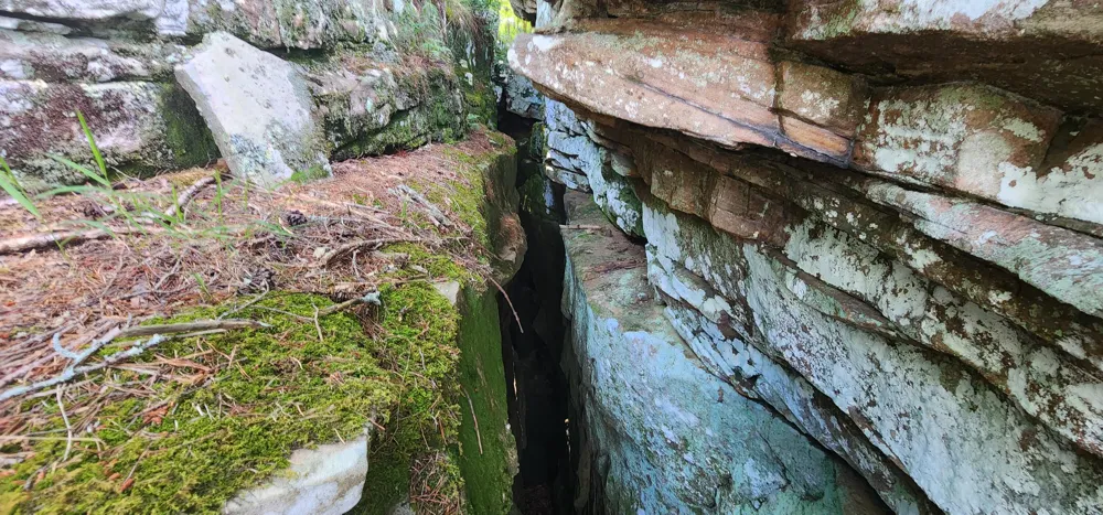 Roth Point Road Altamont, TN 37301