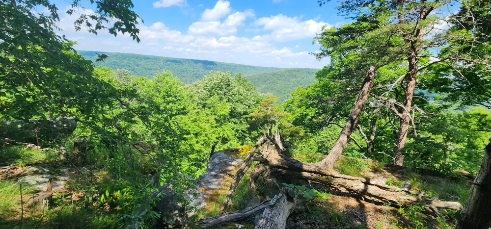 Roth Point Road Altamont, TN 37301