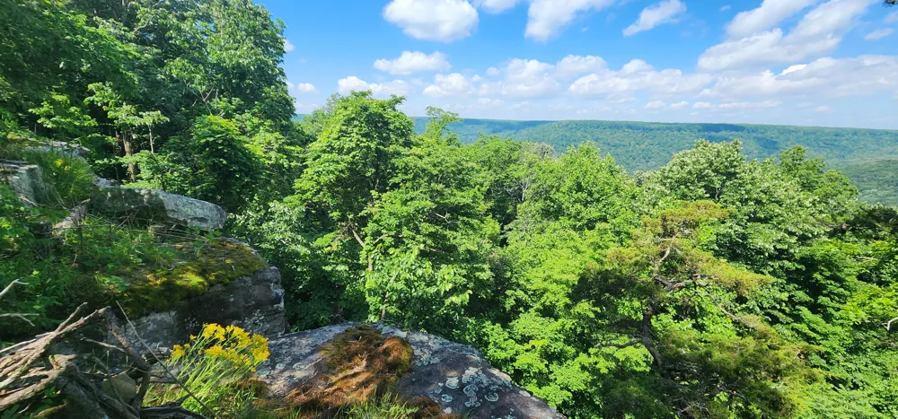 Roth Point Road Altamont, TN 37301
