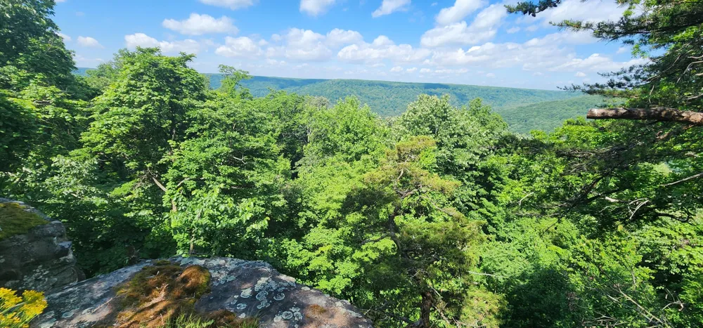 Roth Point Road Altamont, TN 37301