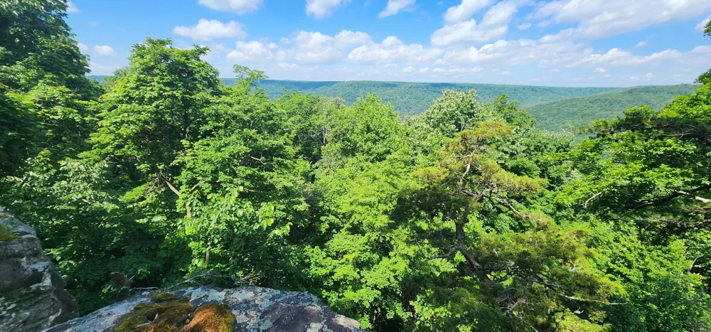 Roth Point Road Altamont, TN 37301