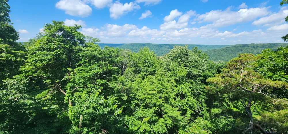 Roth Point Road Altamont, TN 37301