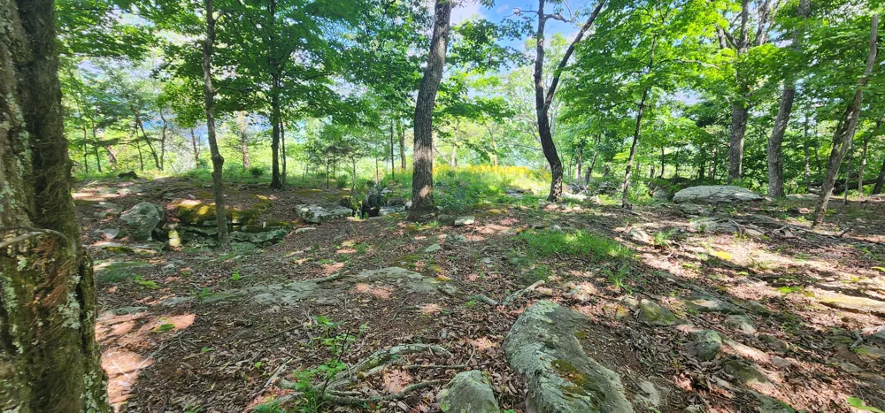 Roth Point Road Altamont, TN 37301