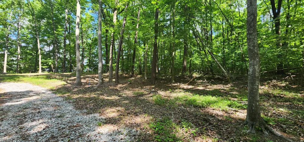 Roth Point Road Altamont, TN 37301