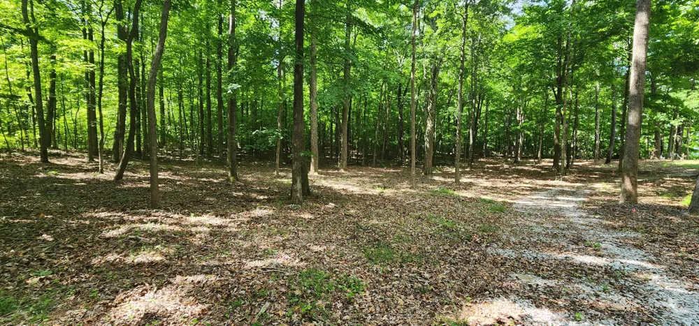 Roth Point Road Altamont, TN 37301