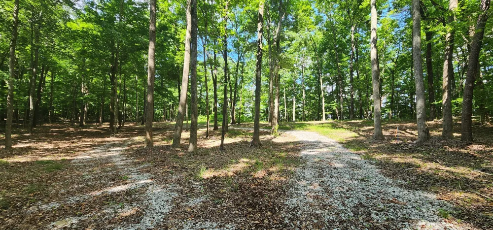 Roth Point Road Altamont, TN 37301