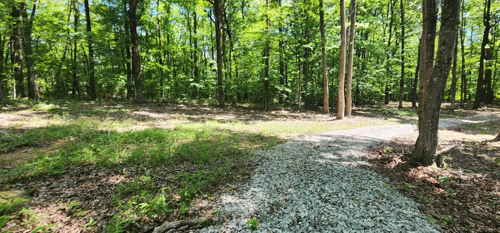 Roth Point Road Altamont, TN 37301