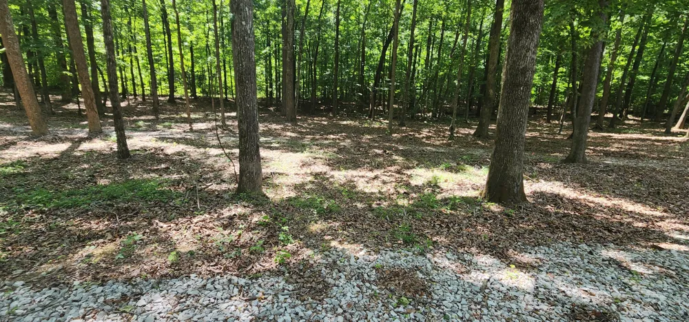Roth Point Road Altamont, TN 37301