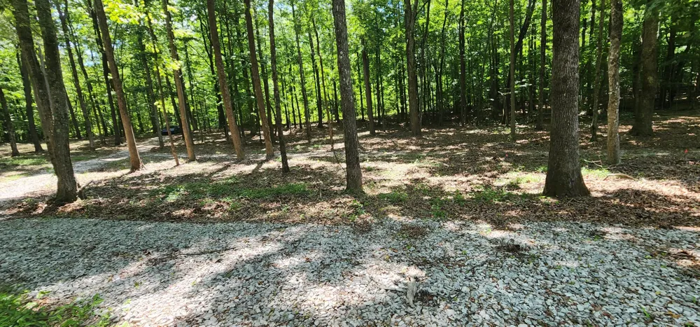 Roth Point Road Altamont, TN 37301