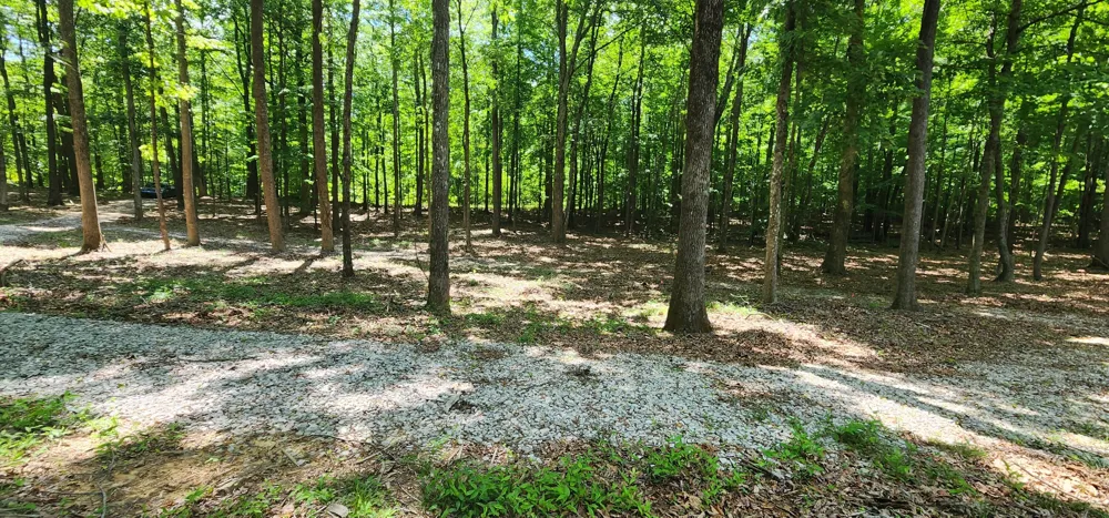 Roth Point Road Altamont, TN 37301