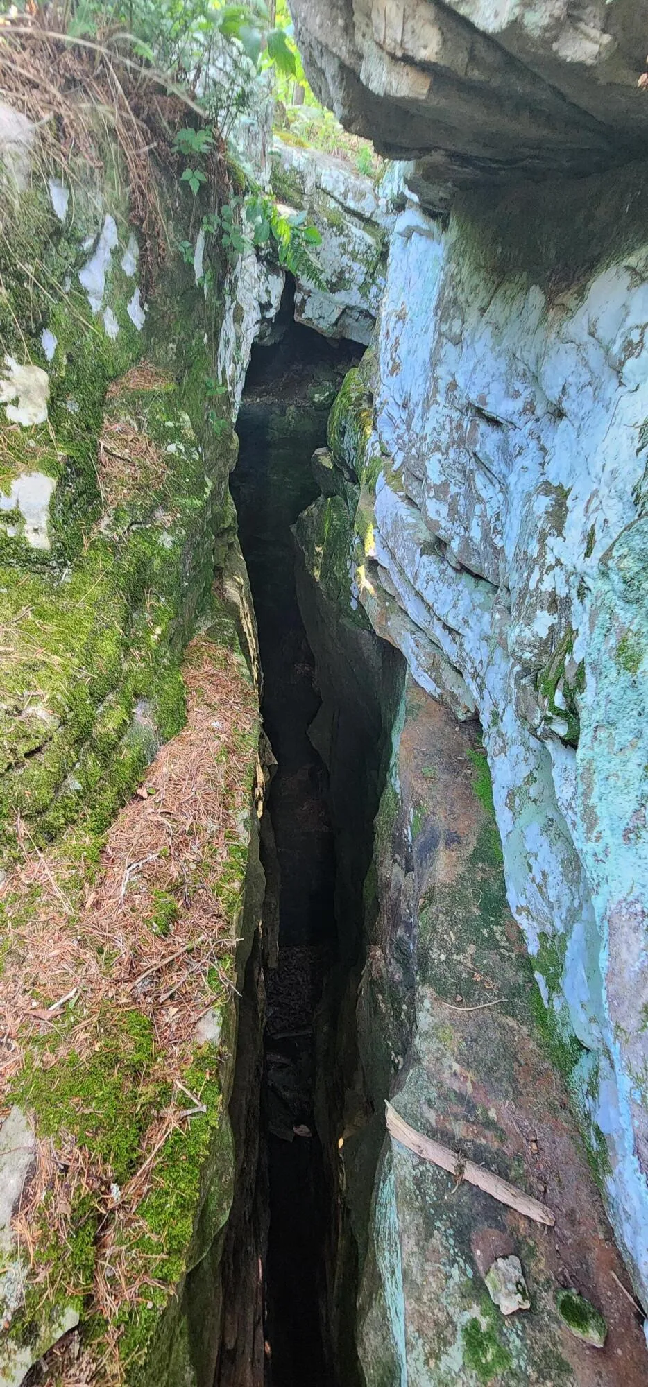 Roth Point Road Altamont, TN 37301
