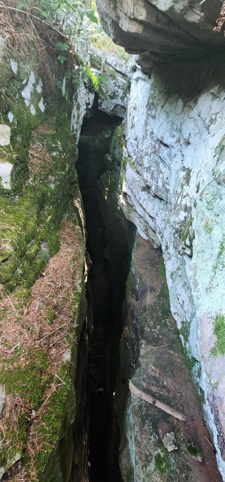 Roth Point Road Altamont, TN 37301