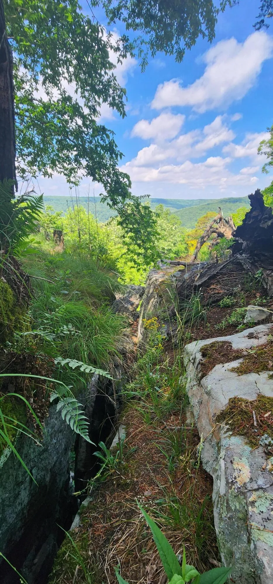 Roth Point Road Altamont, TN 37301