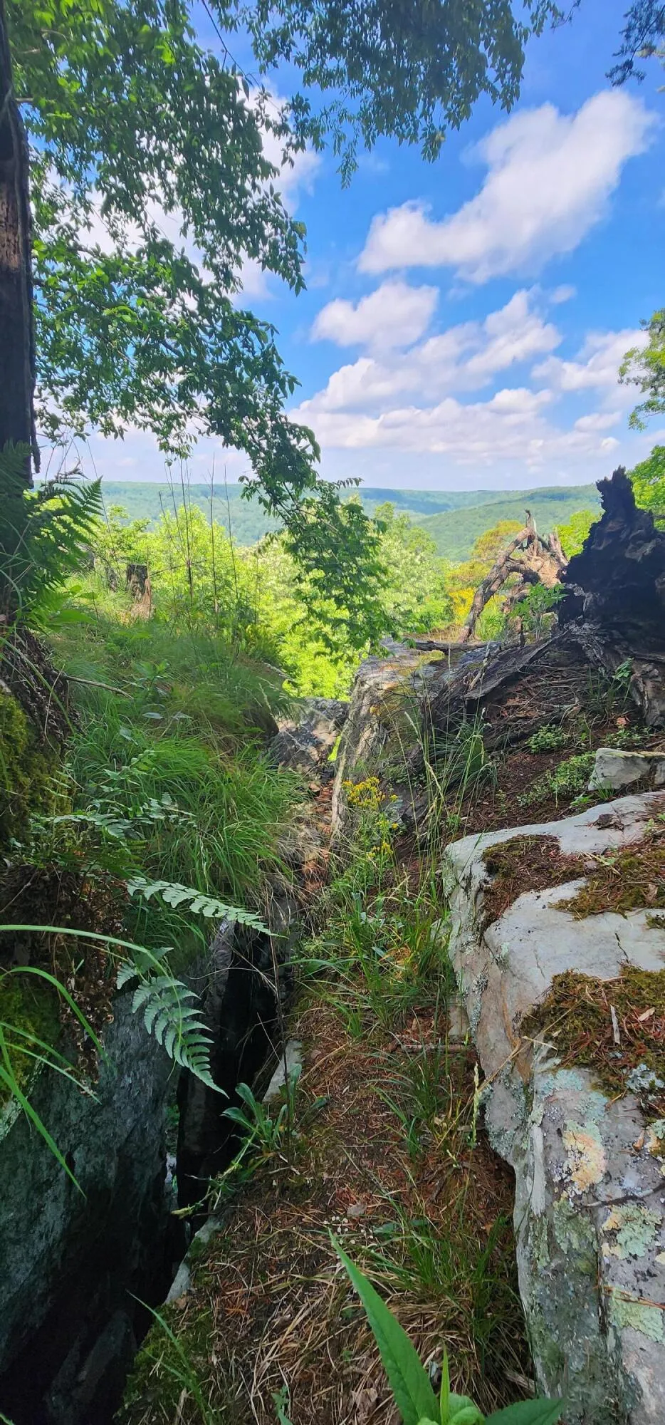 Roth Point Road Altamont, TN 37301