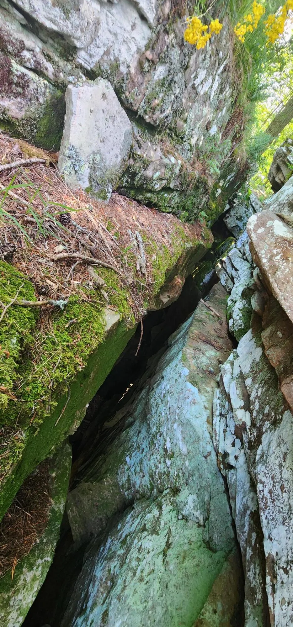 Roth Point Road Altamont, TN 37301