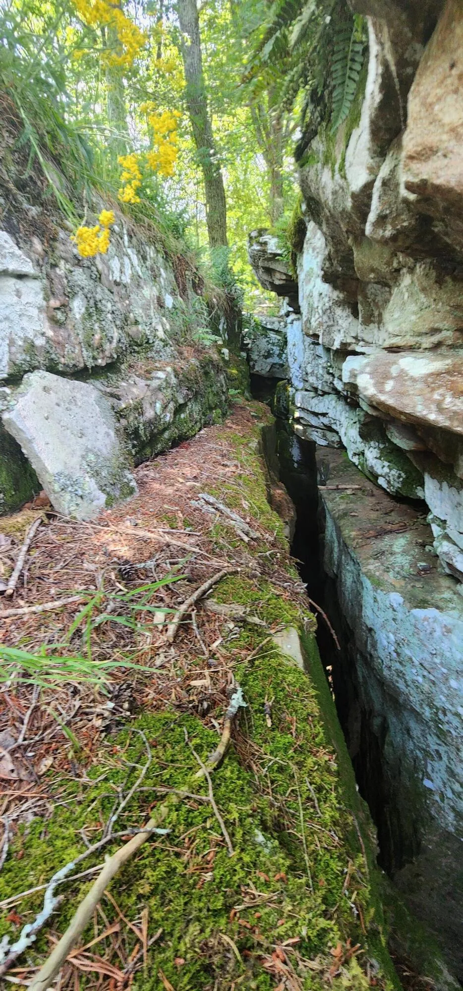Roth Point Road Altamont, TN 37301