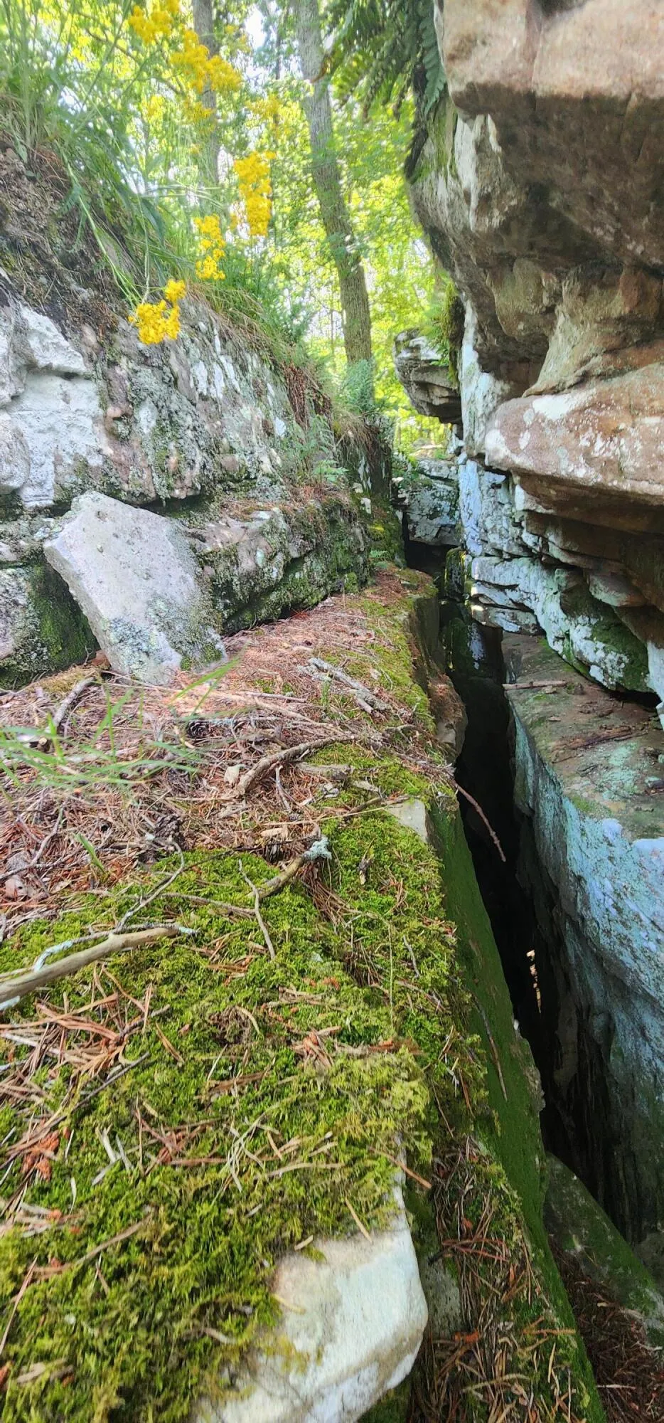 Roth Point Road Altamont, TN 37301