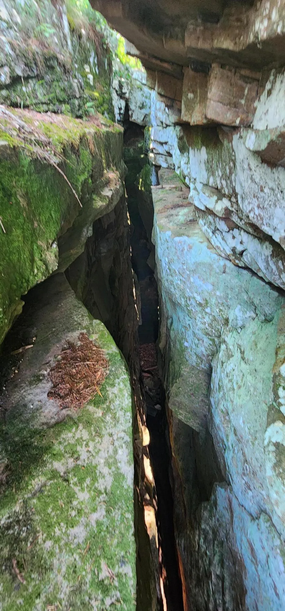 Roth Point Road Altamont, TN 37301