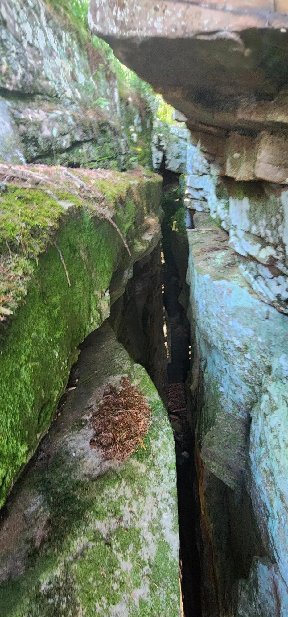Roth Point Road Altamont, TN 37301