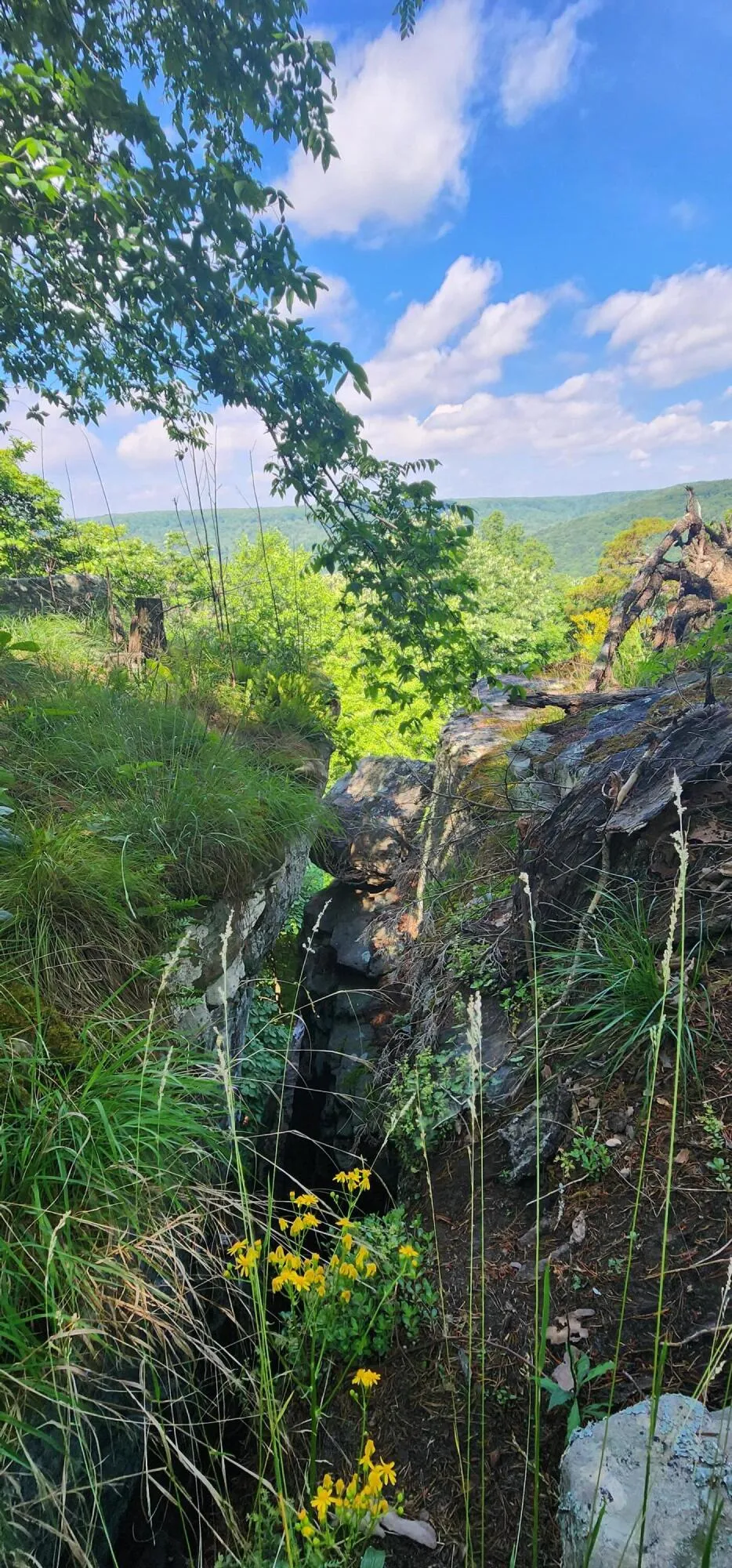 Roth Point Road Altamont, TN 37301