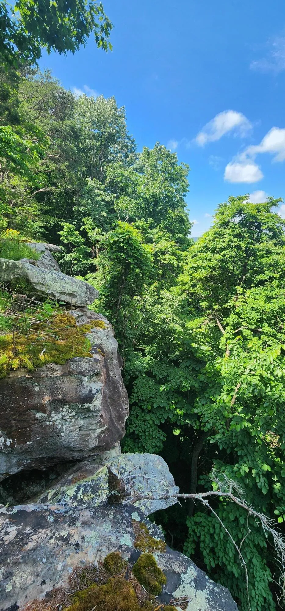 Roth Point Road Altamont, TN 37301