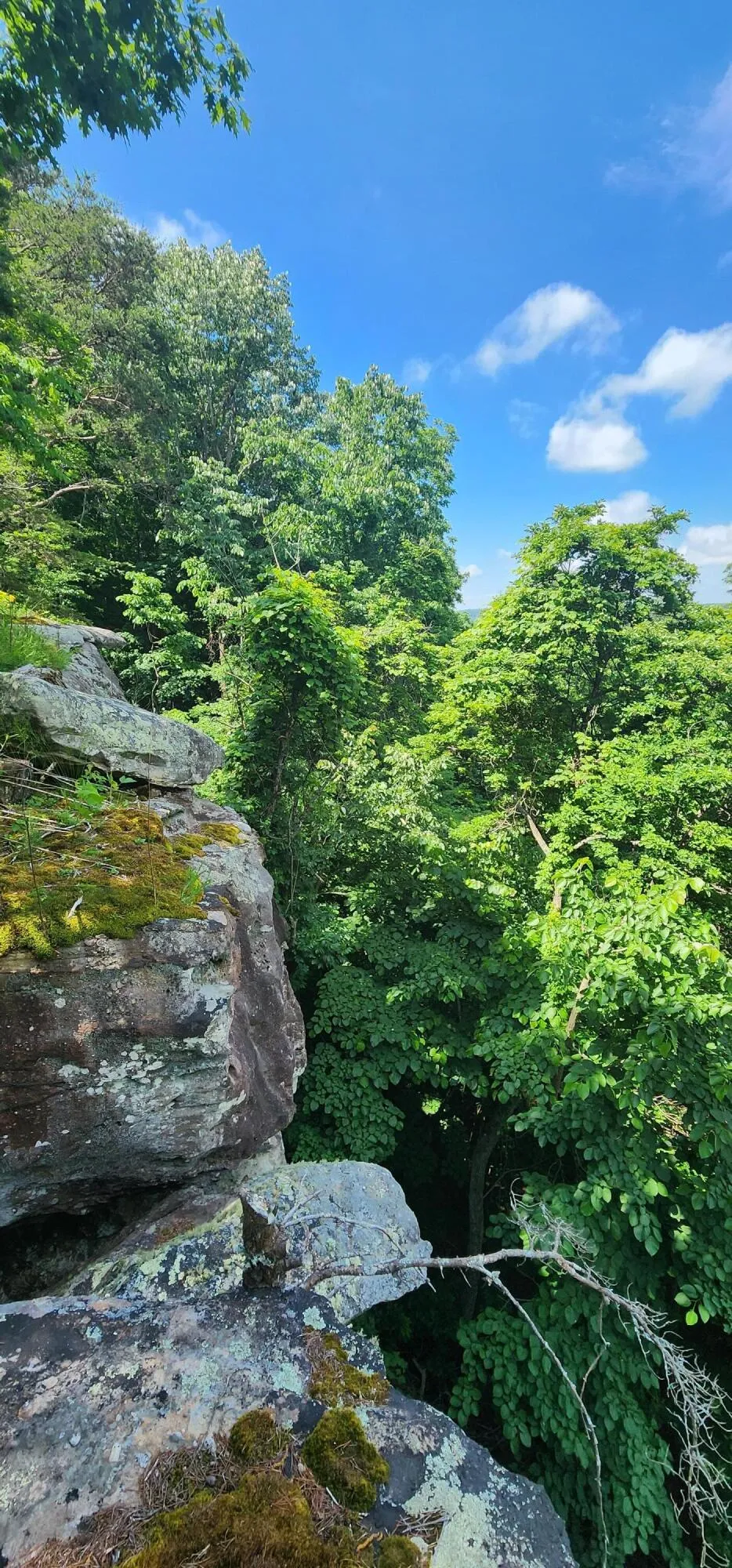 Roth Point Road Altamont, TN 37301