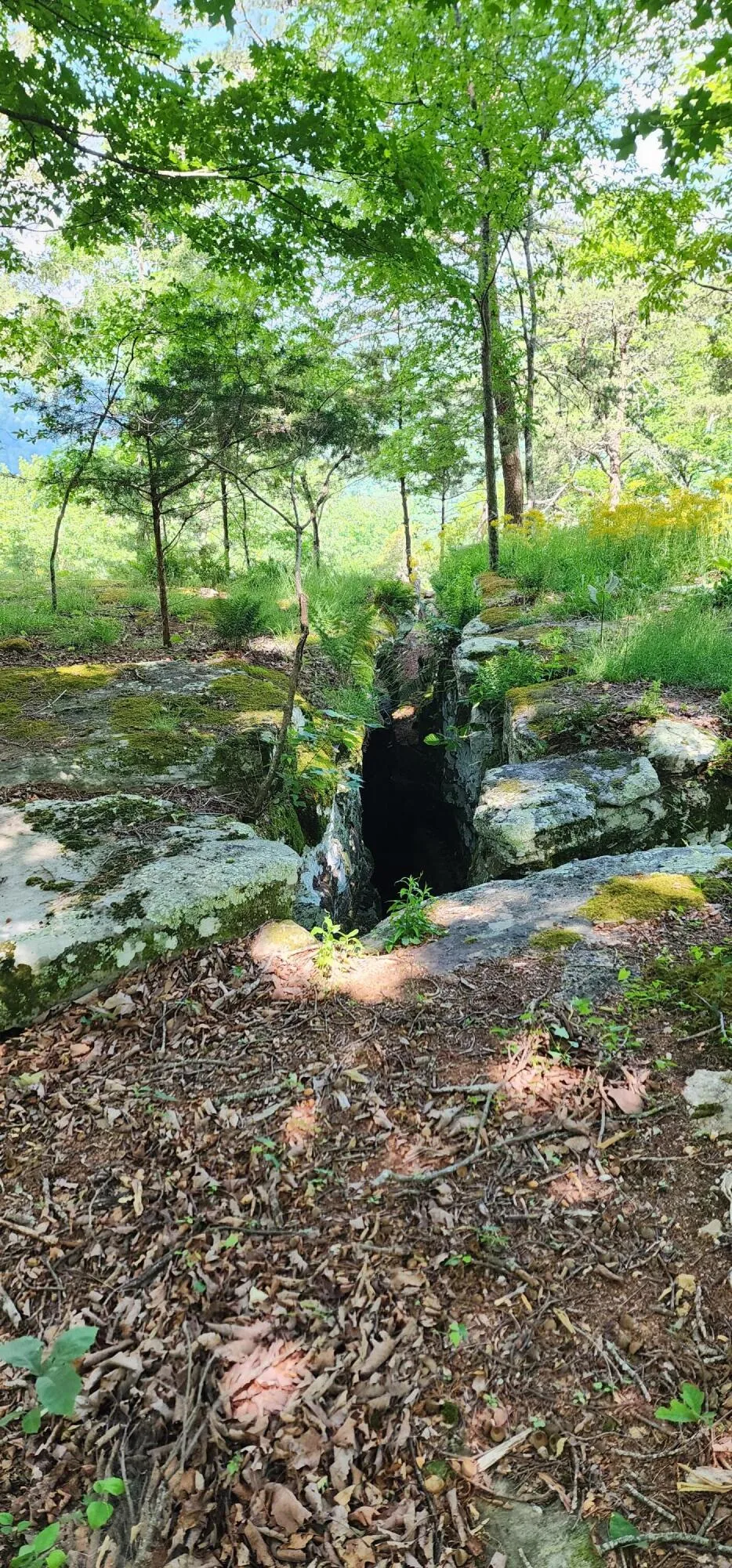 Roth Point Road Altamont, TN 37301