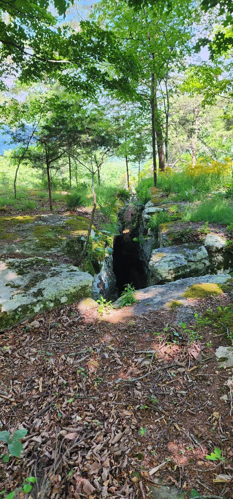 Roth Point Road Altamont, TN 37301
