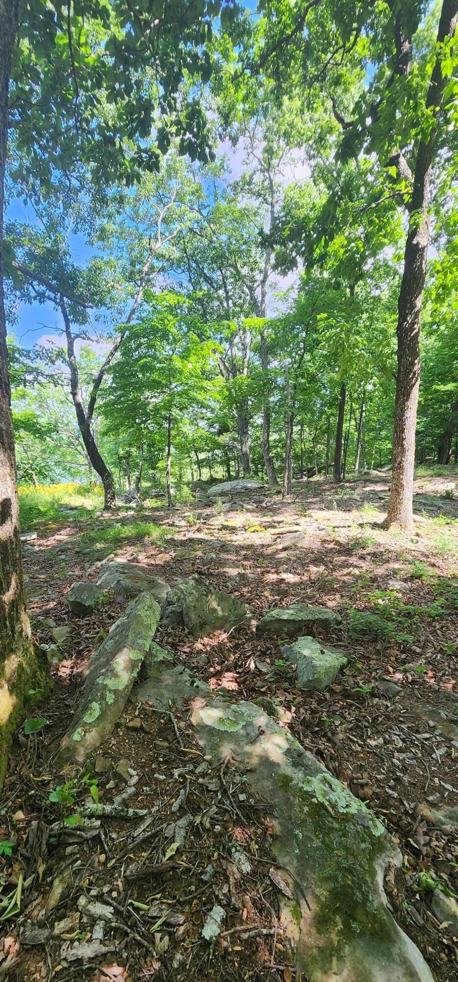 Roth Point Road Altamont, TN 37301