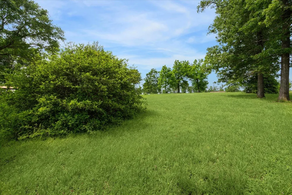 Emerald Lane Onalaska, TX 77360