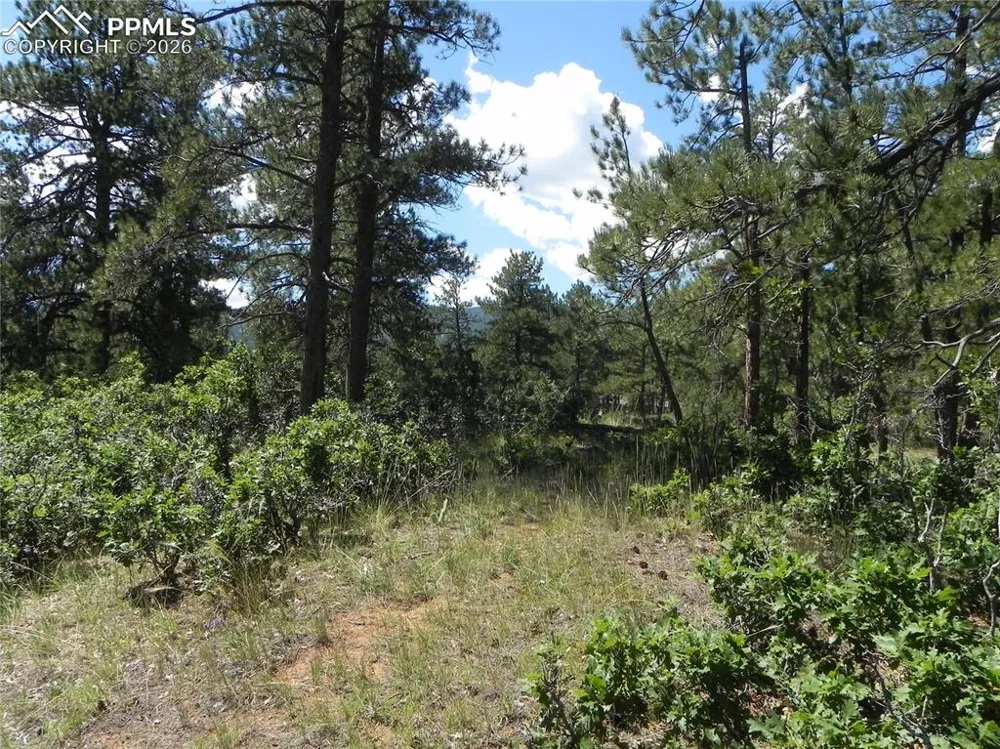 4144 Cheyenne Drive Larkspur, CO 80118