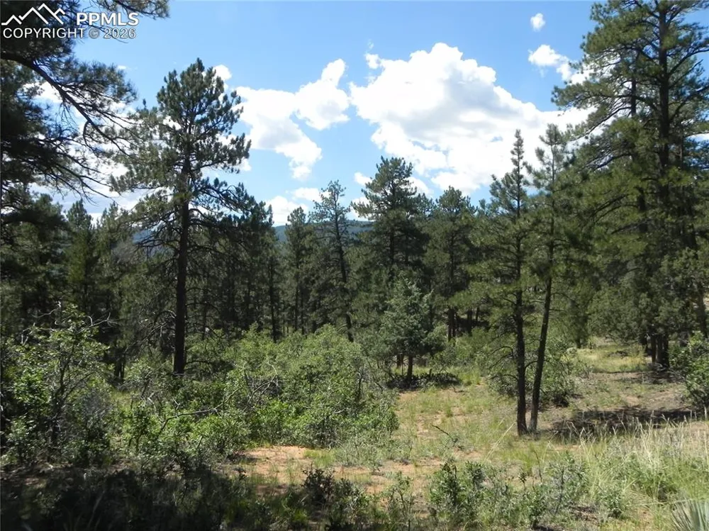 4144 Cheyenne Drive Larkspur, CO 80118