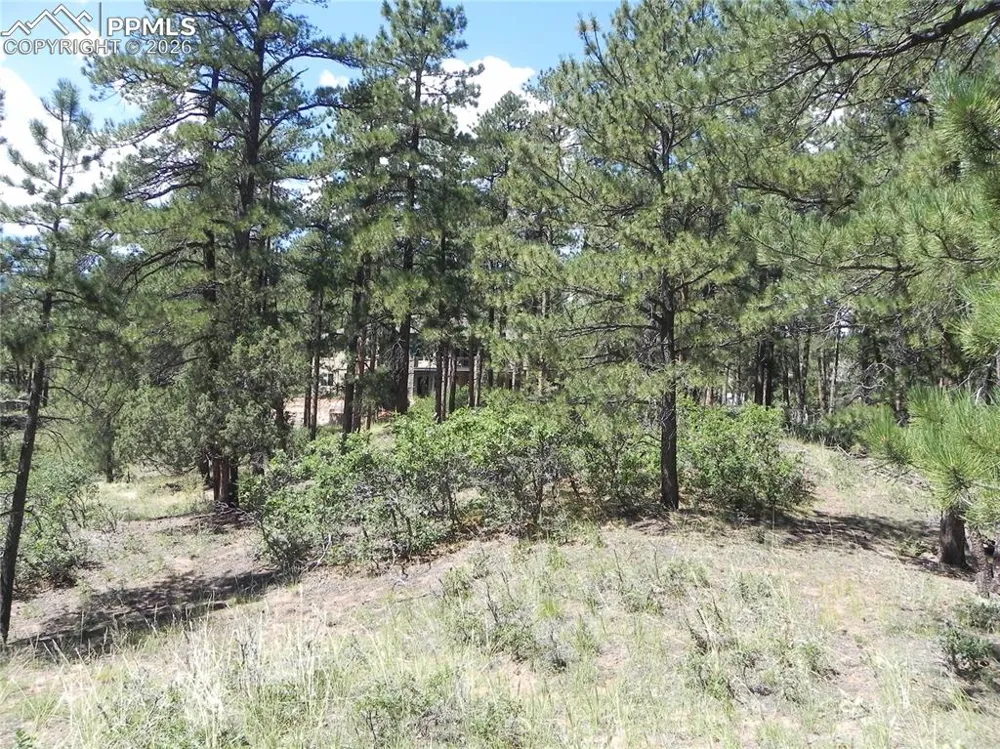 4144 Cheyenne Drive Larkspur, CO 80118