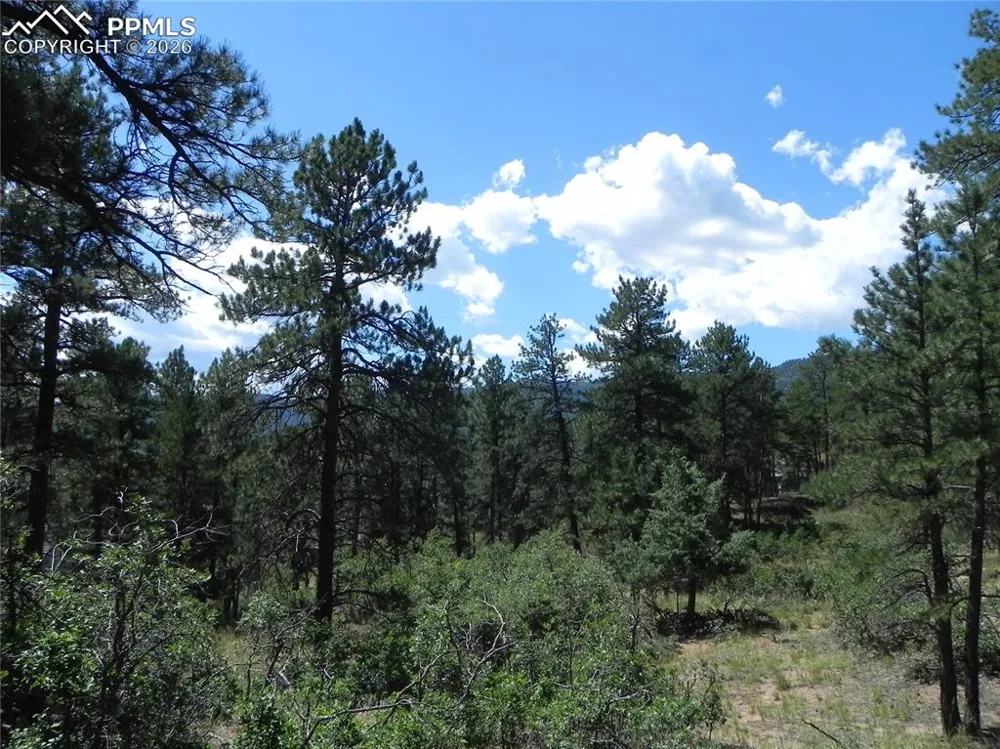 4144 Cheyenne Drive Larkspur, CO 80118