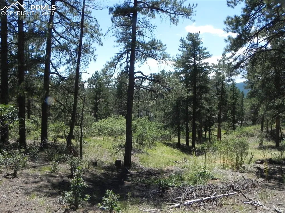 4144 Cheyenne Drive Larkspur, CO 80118