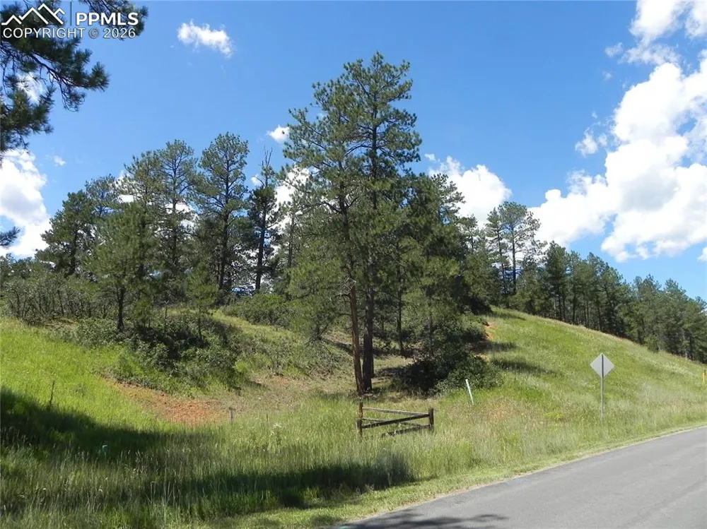 4144 Cheyenne Drive Larkspur, CO 80118
