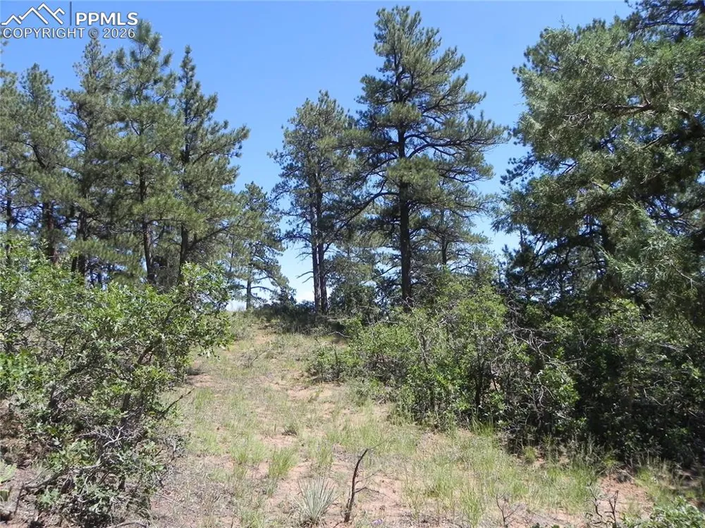4144 Cheyenne Drive Larkspur, CO 80118