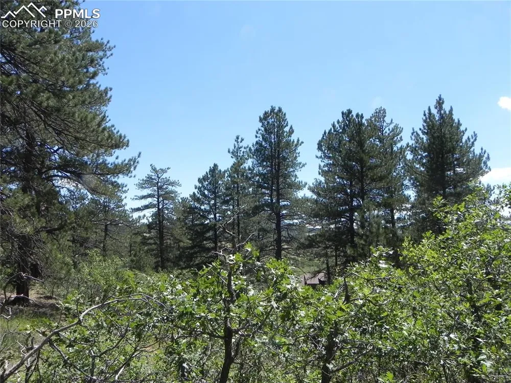 4144 Cheyenne Drive Larkspur, CO 80118