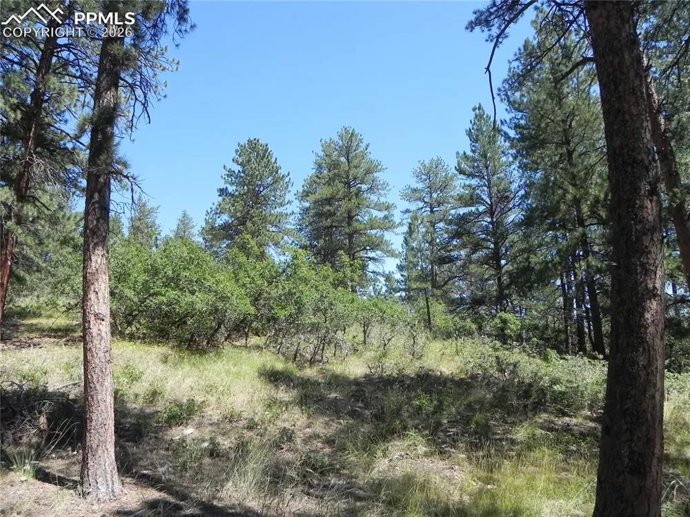 4144 Cheyenne Drive Larkspur, CO 80118