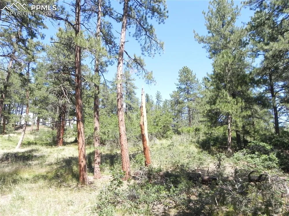 4144 Cheyenne Drive Larkspur, CO 80118