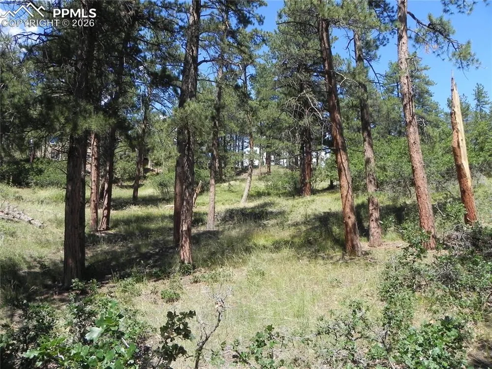 4144 Cheyenne Drive Larkspur, CO 80118