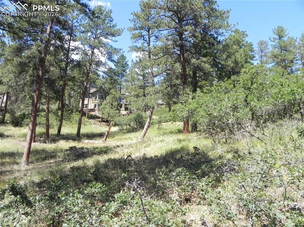 4144 Cheyenne Drive Larkspur, CO 80118