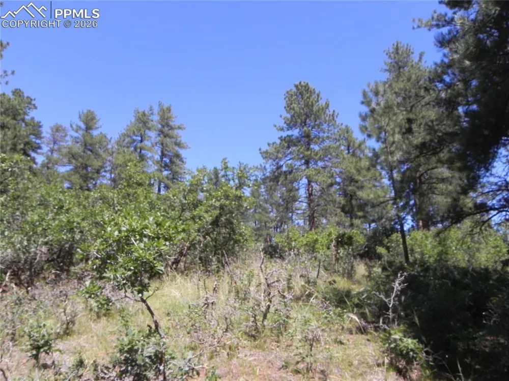 4144 Cheyenne Drive Larkspur, CO 80118