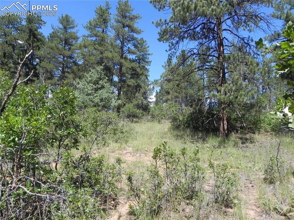 4144 Cheyenne Drive Larkspur, CO 80118