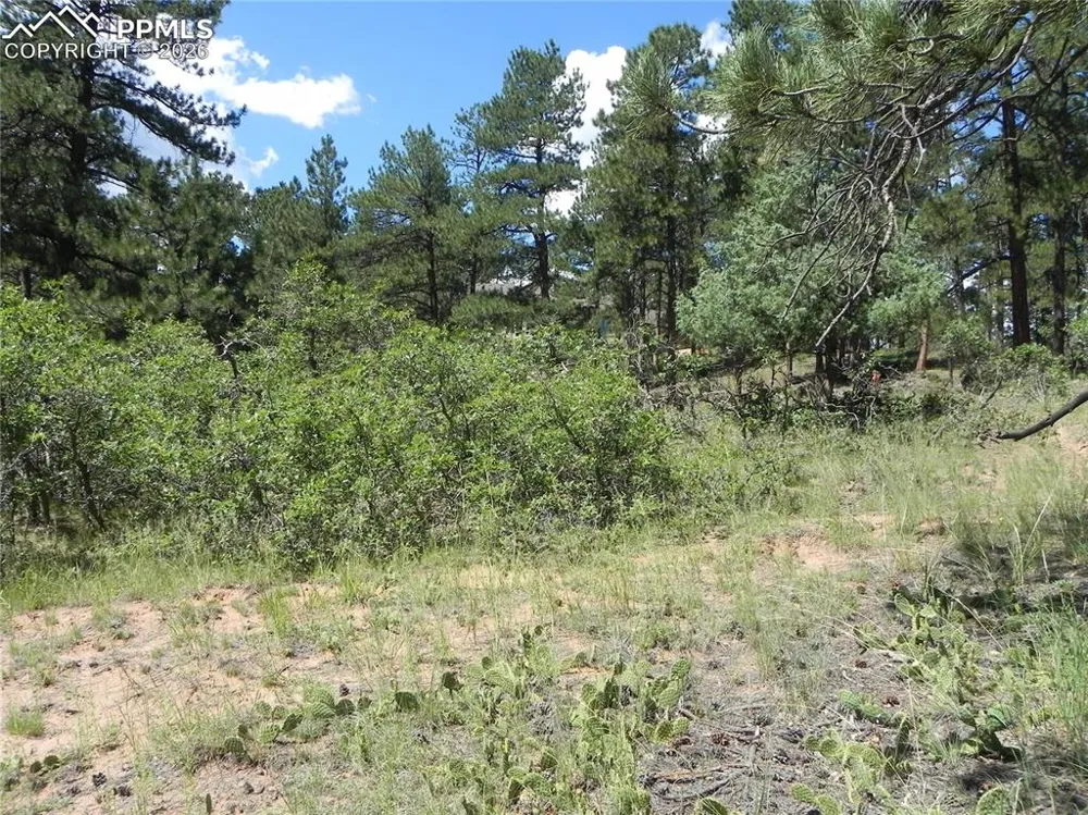 4144 Cheyenne Drive Larkspur, CO 80118