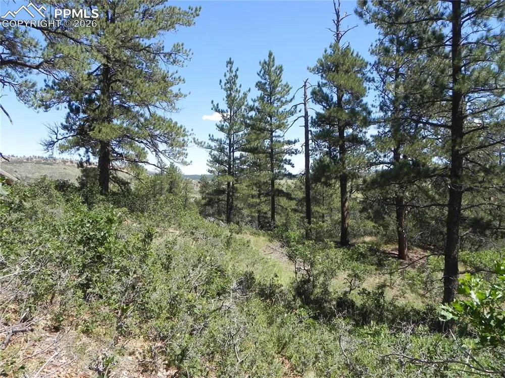 4144 Cheyenne Drive Larkspur, CO 80118