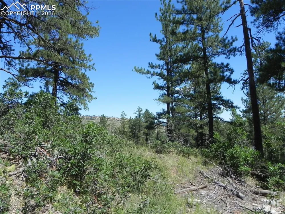 4144 Cheyenne Drive Larkspur, CO 80118