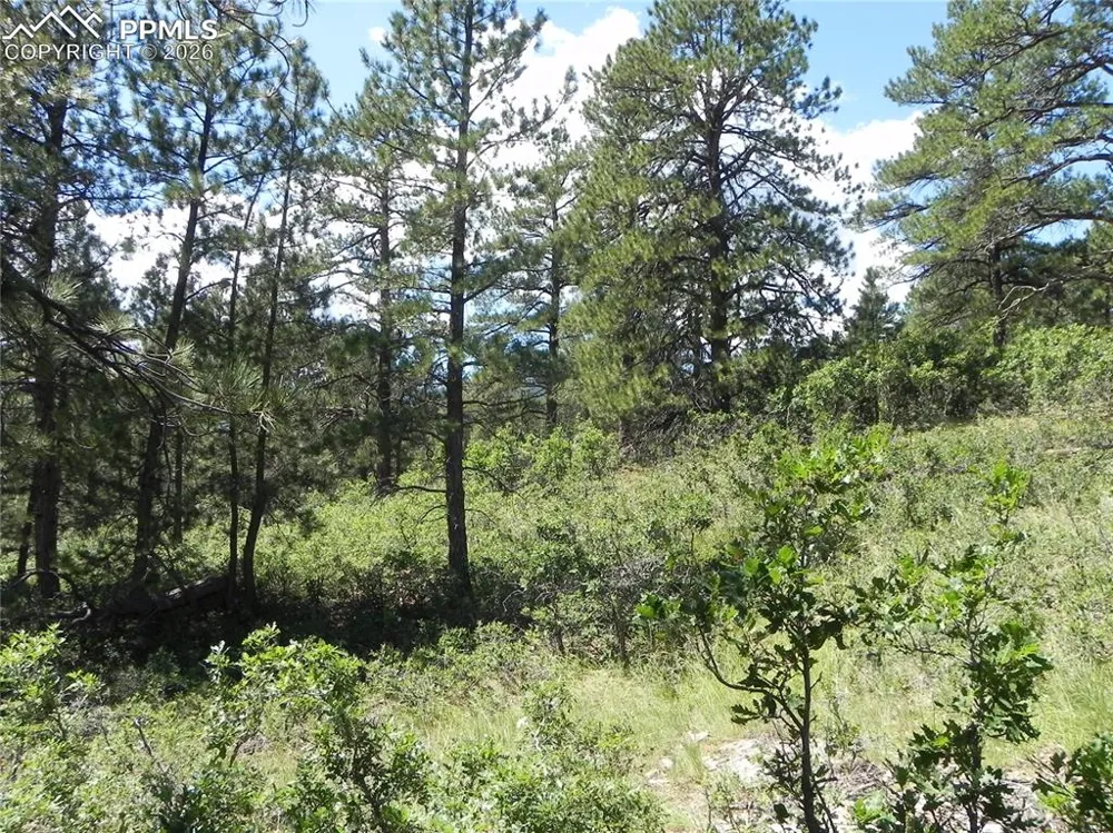 4144 Cheyenne Drive Larkspur, CO 80118