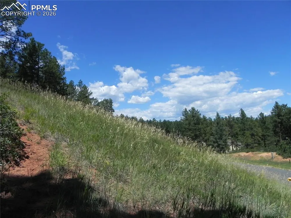 4144 Cheyenne Drive Larkspur, CO 80118
